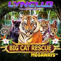 Big Cat Rescue ทดลองเล่น สล็อต